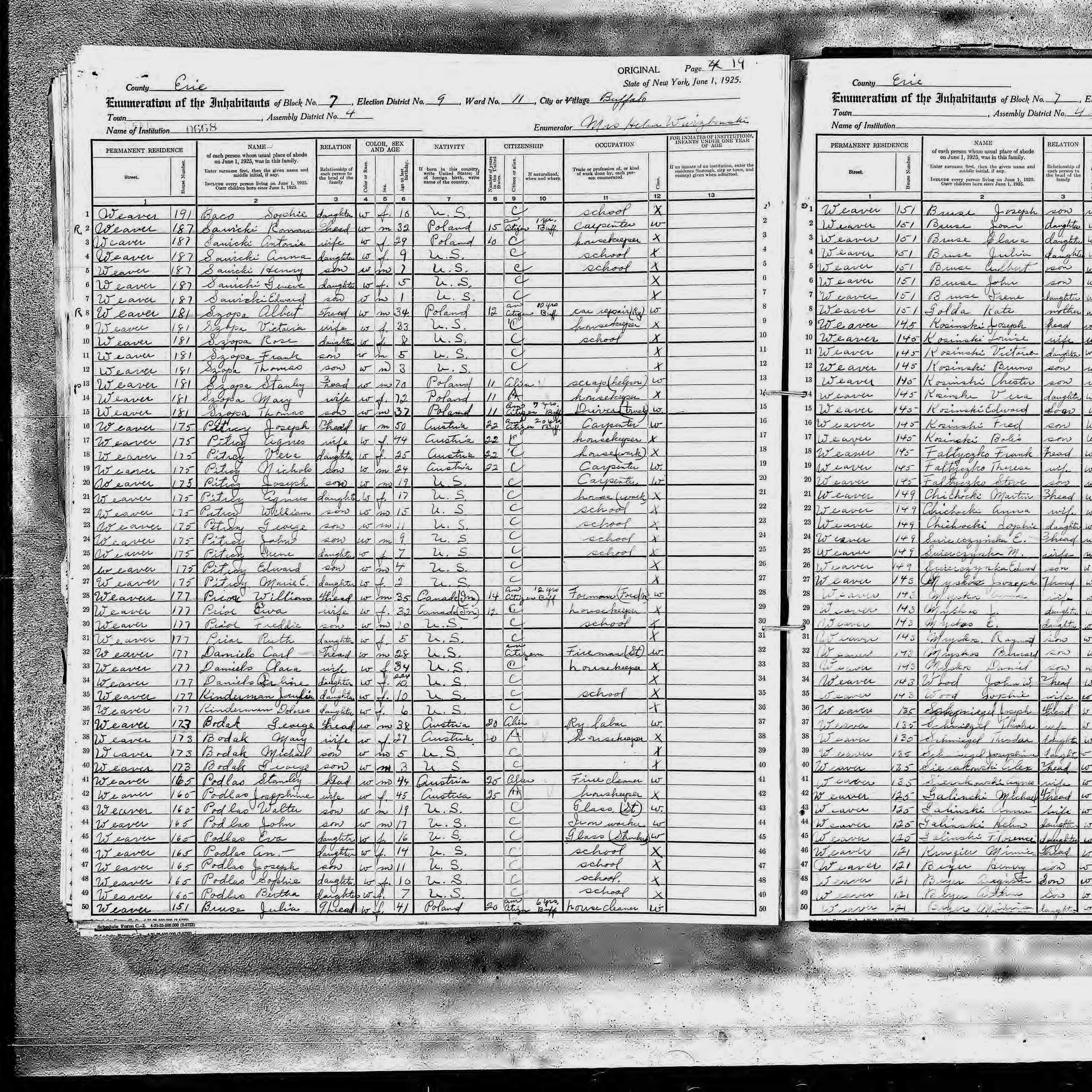 1925 NY Census Julia Bruse