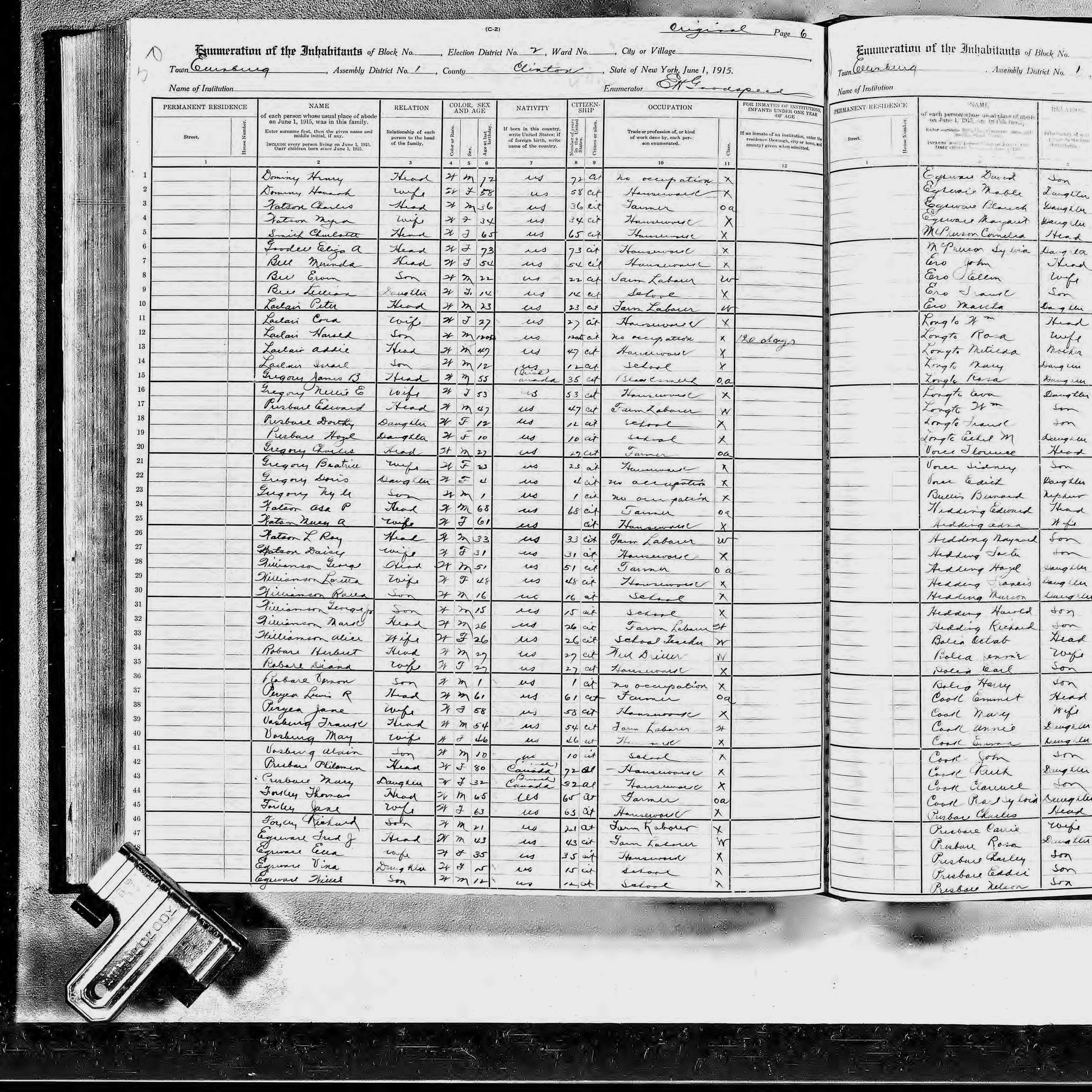 1915 NY Census Emmett Cook